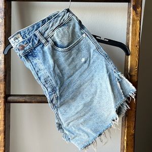 Free People Baggy Tomboy Shorts 30